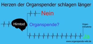 Herz 26.jpg