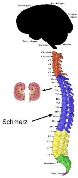 Datei:Schmerz1c.jpg