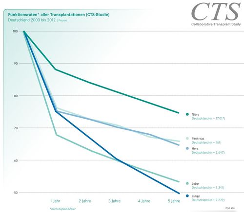 CTS13.jpg