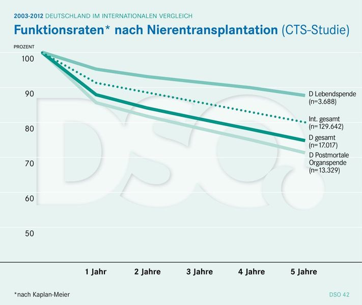 Datei:CTS13Niere.jpg