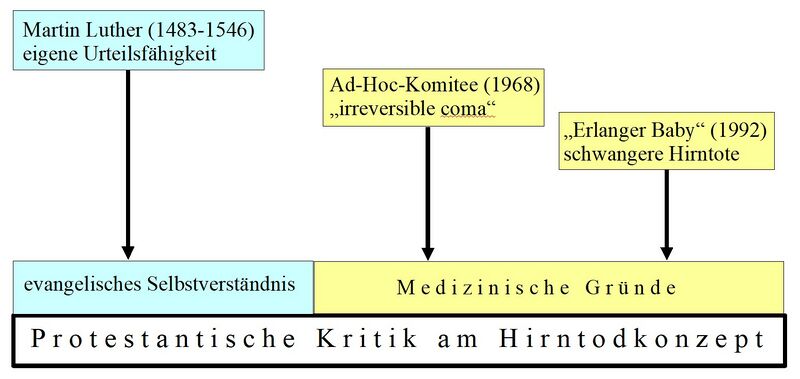 Datei:EvKritikHTK.jpg
