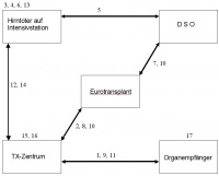 OT Ablauf.jpg