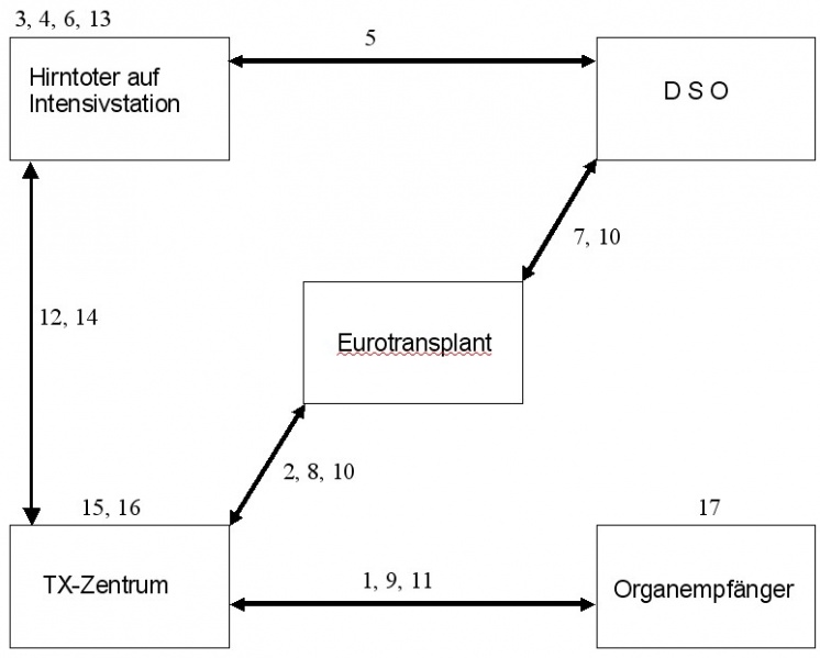 Datei:OT Ablauf.jpg