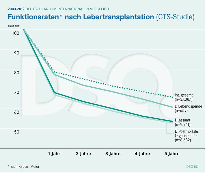 Datei:CTS13Leber.jpg