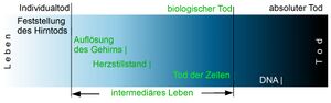 Sterbepr-HT.jpg